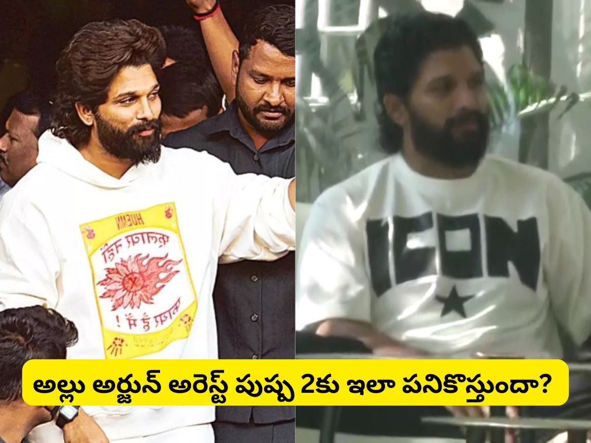 Allu Arjun: అల్లు అర్జున్‌కు అరెస్ట్ కూడా లాభమేనా?.. ఇది పుష్పకు ఫ్లస్ ...