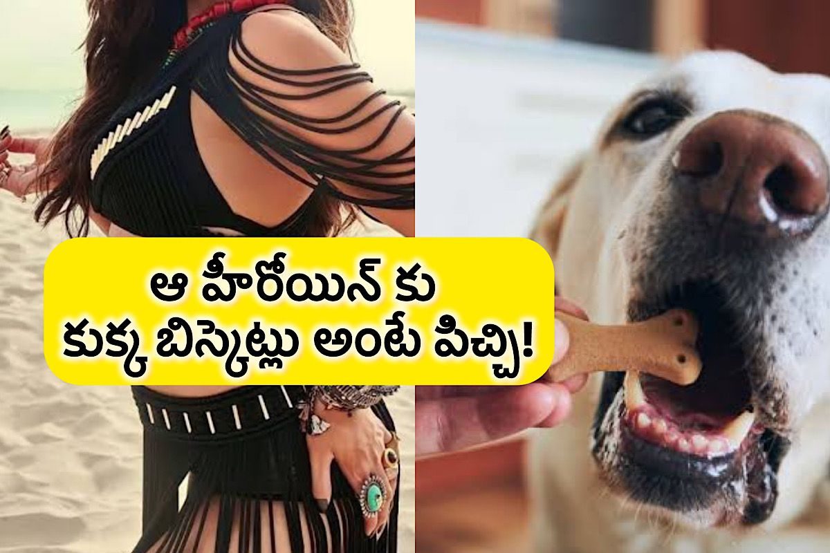 కుక్క బిస్కెట్లు తినే హీరోయిన్.. ఆమెతో లిప్ కిస్ అంటే భయపడి చస్తున్న హీరోలు.. నోరు తెరిస్త