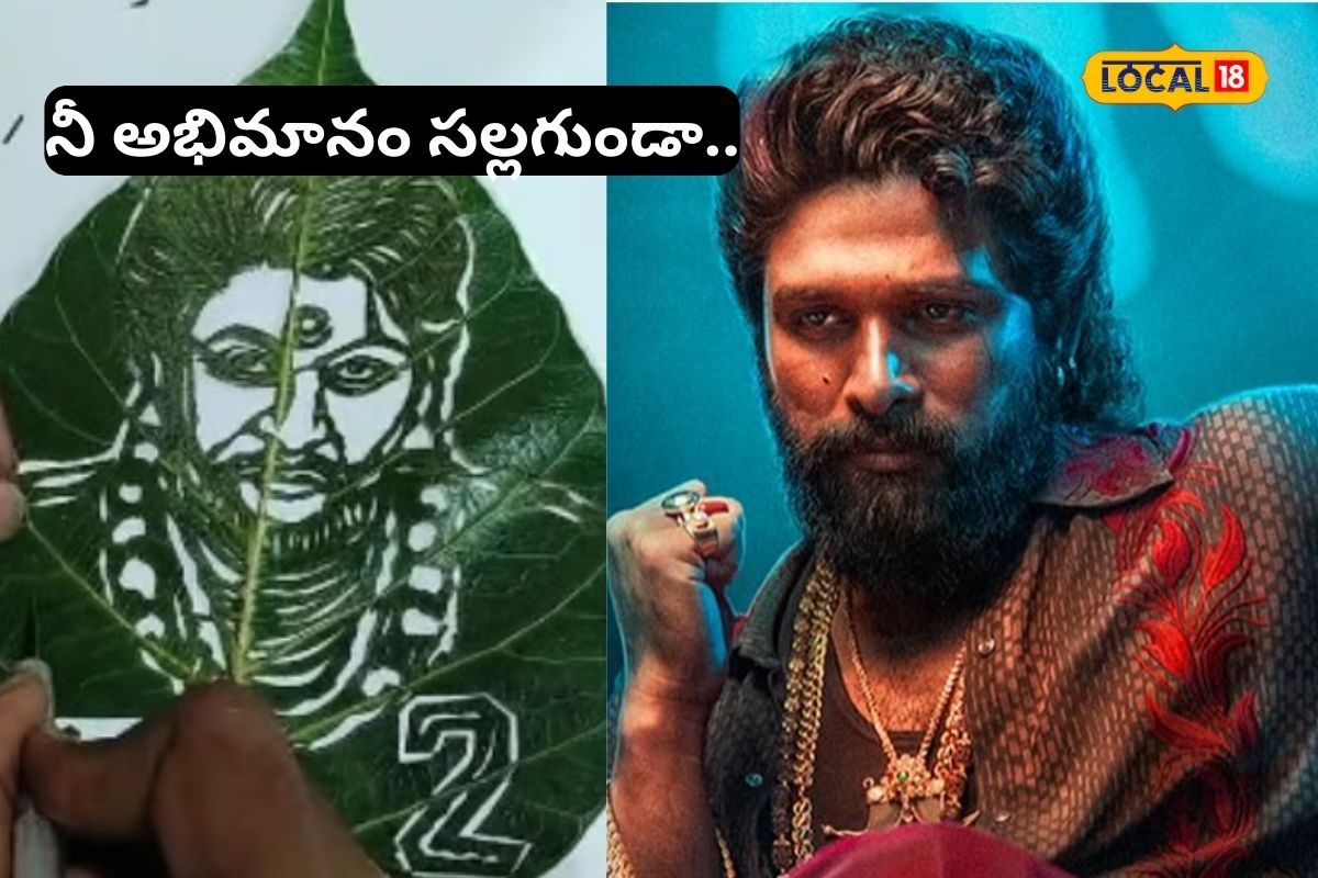 Pushpa 2: అల్లు అర్జున్ పుష్ప-2.. ఇలా మీరెప్పుడూ చూసి ఉండరు, వారెవ్వా ఏమన్నా ఉందా గురూ..!