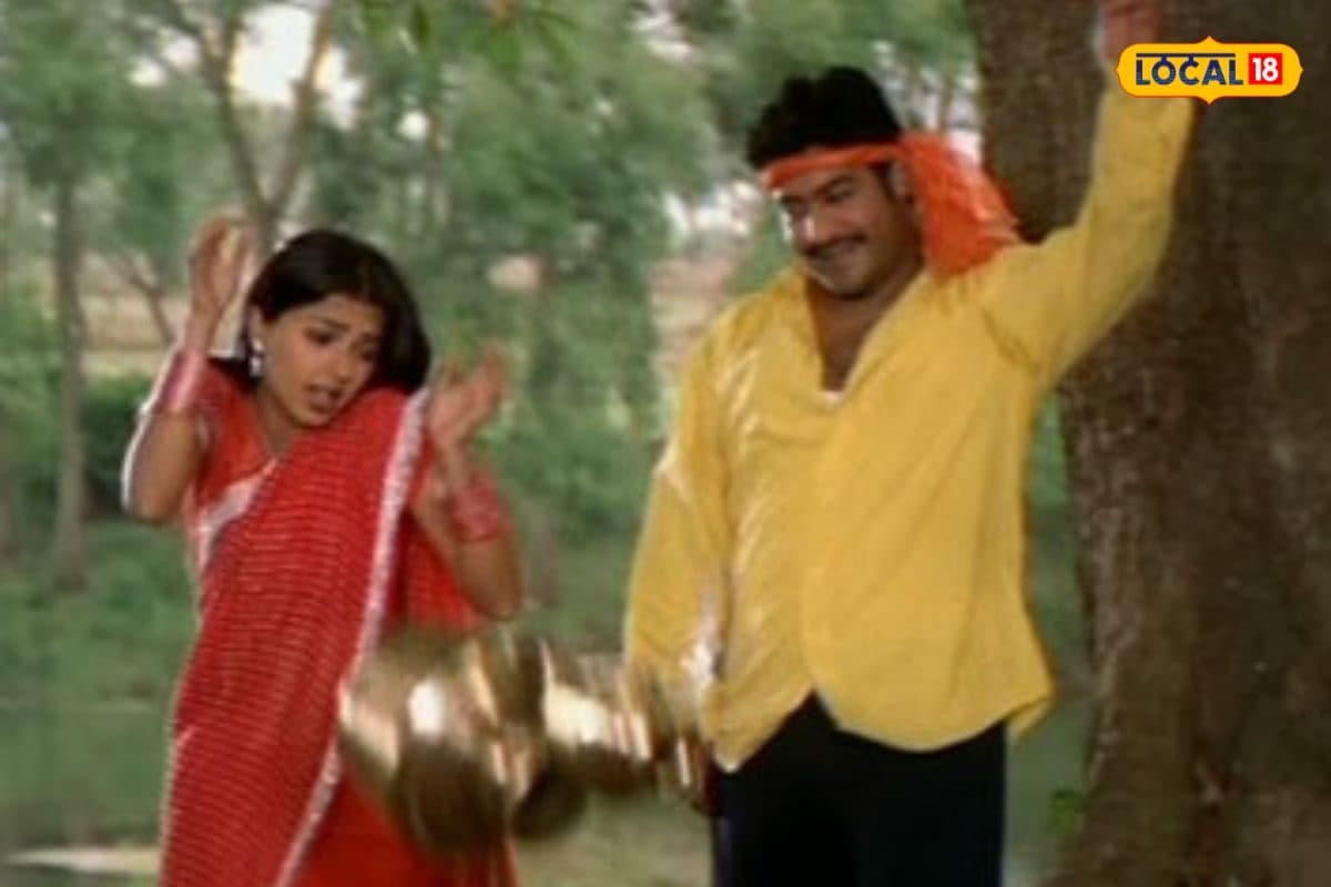 సింహాద్రి మూవీలో ఫేమస్ అయిన ఈ చెట్టు గుర్తుందా.. ఇప్పుడు ఎలా ఉందో చూడండి..