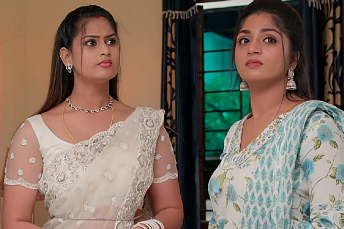 మీనాకు బాలు నుంచి విడాకులు ఇప్పించేద్దామా? వచ్చినరోజే కాపురాలు కూల్చేస్తావా శృతి? ఈ తిక్క