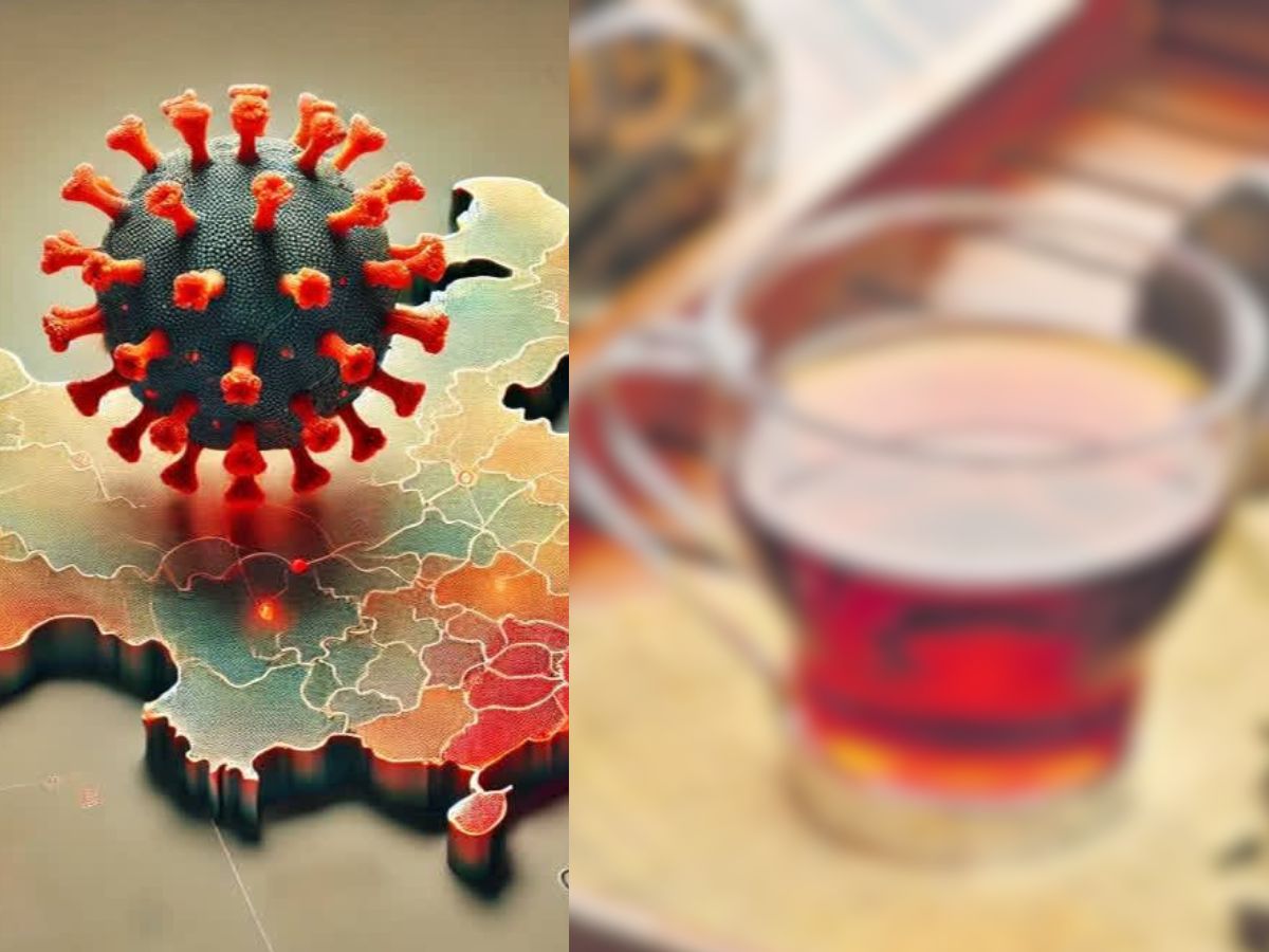 Virus Tea HMPV Virus Tea: HMPV వైరస్ను తరిమికొట్టే సూపర్ టీ.. చలికాలంలో ...