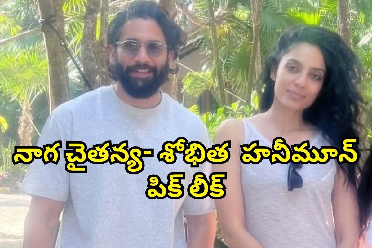 Sobhita Dhulipala: నాగ చైతన్య హనీమూన్ పిక్ లీక్.. శోభిత దూళిపాళ్లతో ఎంజాయ్ మాములుగా లేదుగా