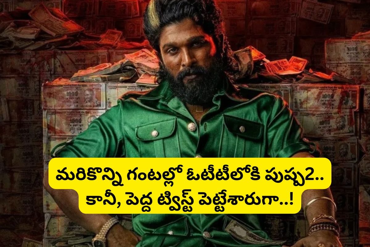 Pushpa 2: మరికొన్ని గంటల్లో ఓటీటీలోకి 'పుష్ప2' మూవీ.. కానీ పెద్ద ట్విస్ట్ పెట్టేశారు మామ!