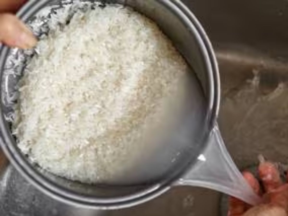 Water Rice Eating Rice Water Uses: బియ్యం కడిగిన నీళ్లు పారబోస్తున్నారా..? వంటల్లో ఇలా ...