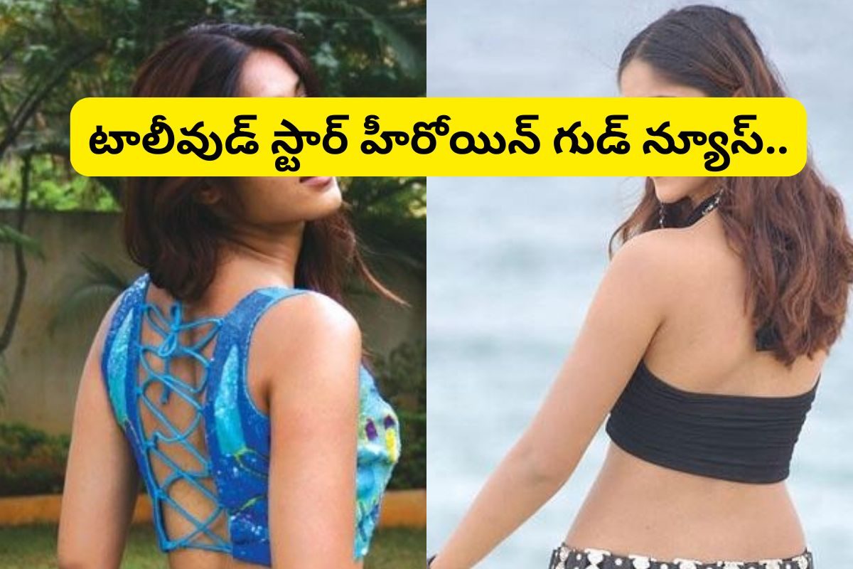 Actress: తల్లి కాబోతున్న తెలుగు స్టార్ హీరోయిన్.. ఎవరో తెలిస్తే షాక్ అవ్వాల్సిందే..