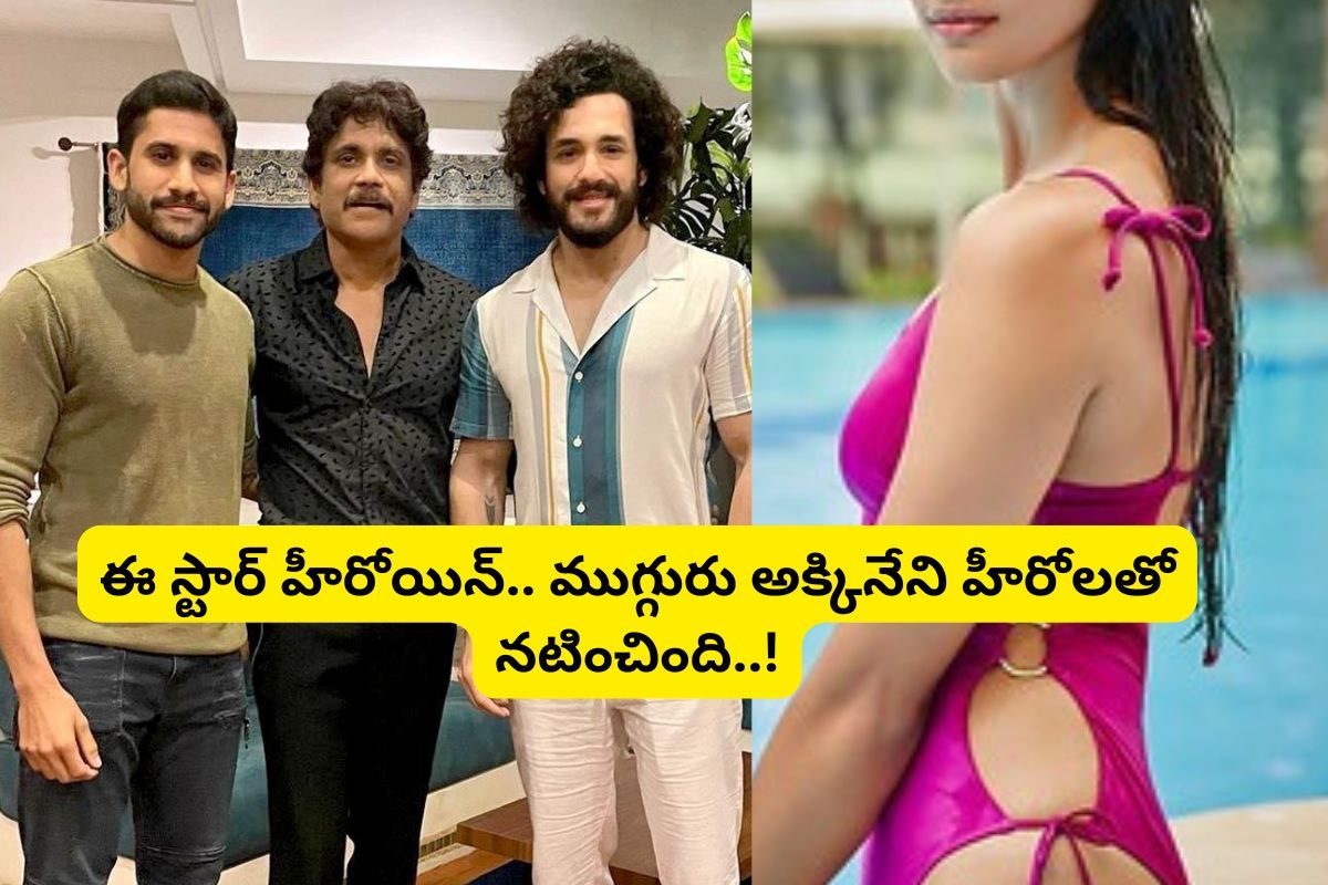 Pooja Hegde: నాగార్జున, నాగ చైతన్య, అఖిల్‌తో నటించిన ఏకైక స్టార్ హీరోయిన్ ఎవరో తెలుసా?
