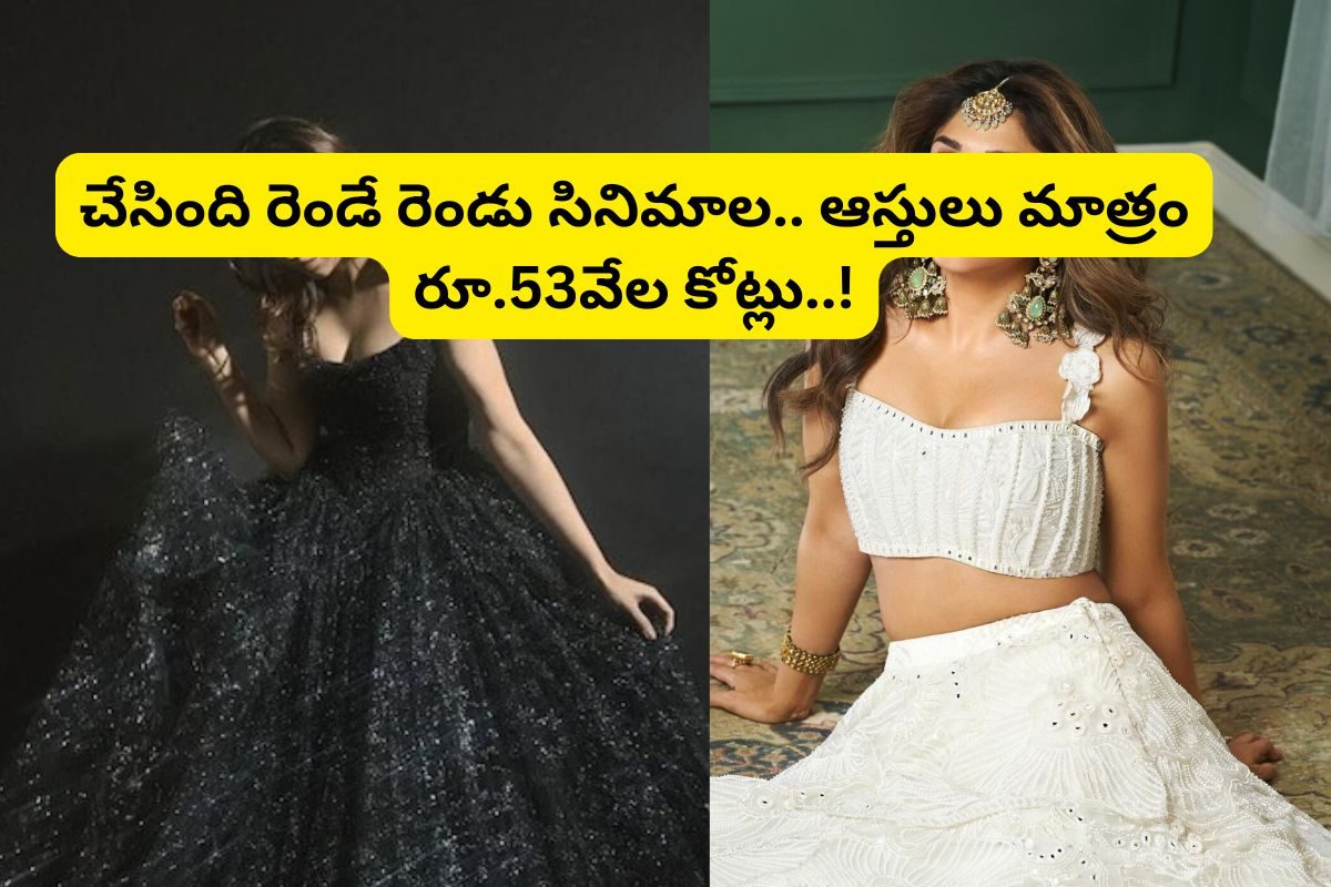 Bollywood Heroine: ಹೀರೋಯಿನ್ ಆಗಿ ಹಿಟ್ ಆಗ್ಲಿಲ್ಲ! 53 ಸಾವಿರ ಕೋಟಿ ಒಡೆಯನ ಮದುವೆಯಾದ್ರು ಈ ಚೆಲುವೆ