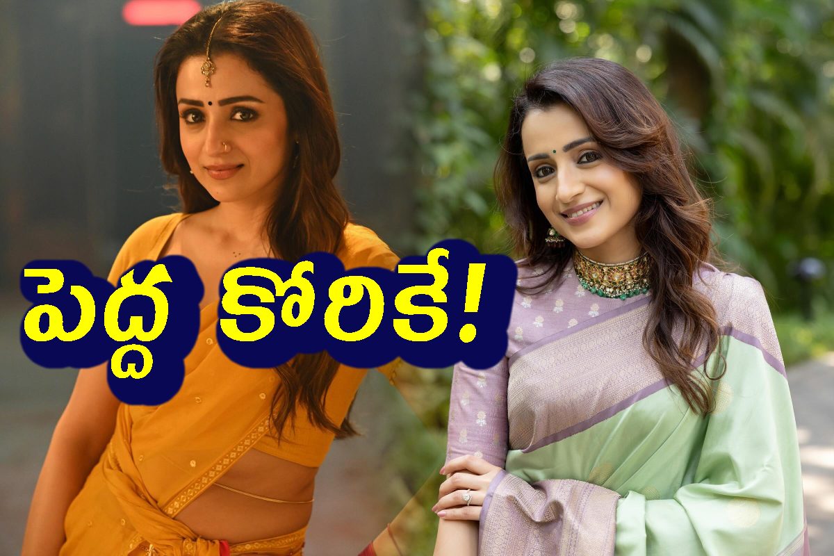 అదే నా కోరిక. అసలు విషయం బయటపెట్టిన త్రిష