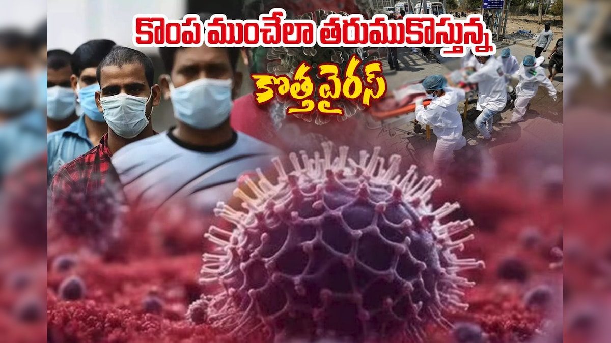 Hmpv virus: ఈ కొత్త వైరస్‌కు hmpv పేరు ఎలా వచ్చిందో తెలుసా? అసలు ఈ పేర్లను ఎవరు నిర్ణయిస్తారు!