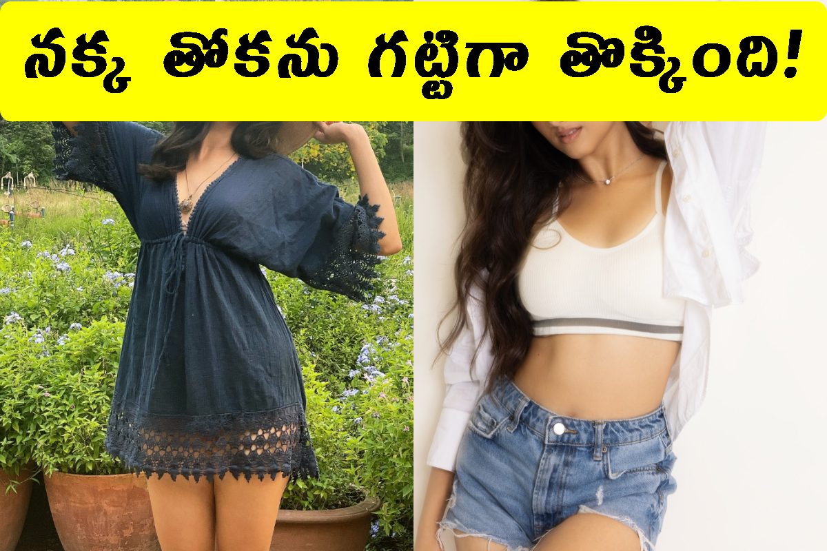 చేసింది 3 ఫ్లాప్ సినిమాలు.. క్యూలో 6 మూవీ ఆఫర్లు.. 12 కోట్లు వెనకేస్తున్న బ్యూటీ!