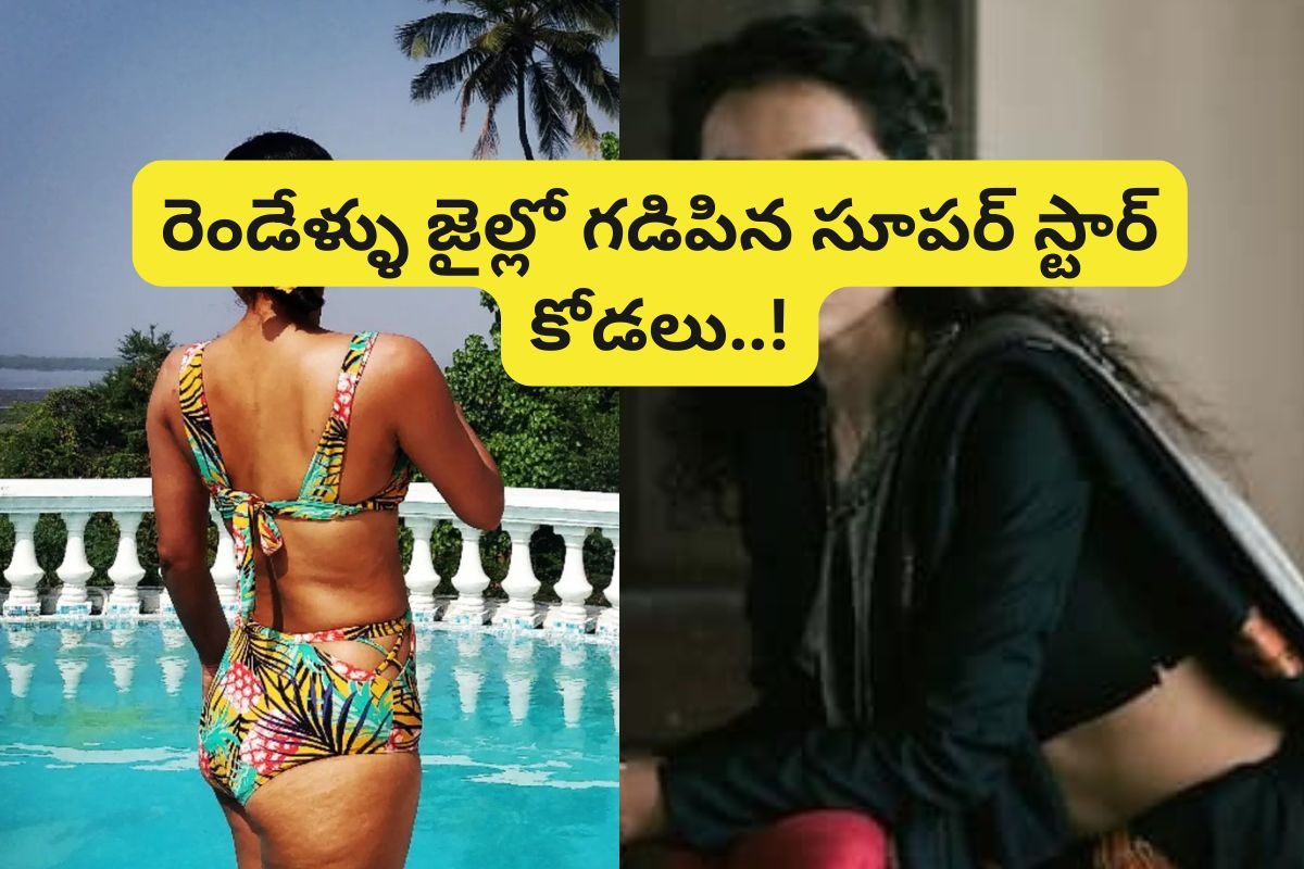 రెండు ఏళ్లు జైల్లో ఉన్న స్టార్ హీరో కోడలు.. ఎందుకో తెలుస్తే ఫ్యూజులు ఎగిరిపోతాయి! ఇలా కూడా