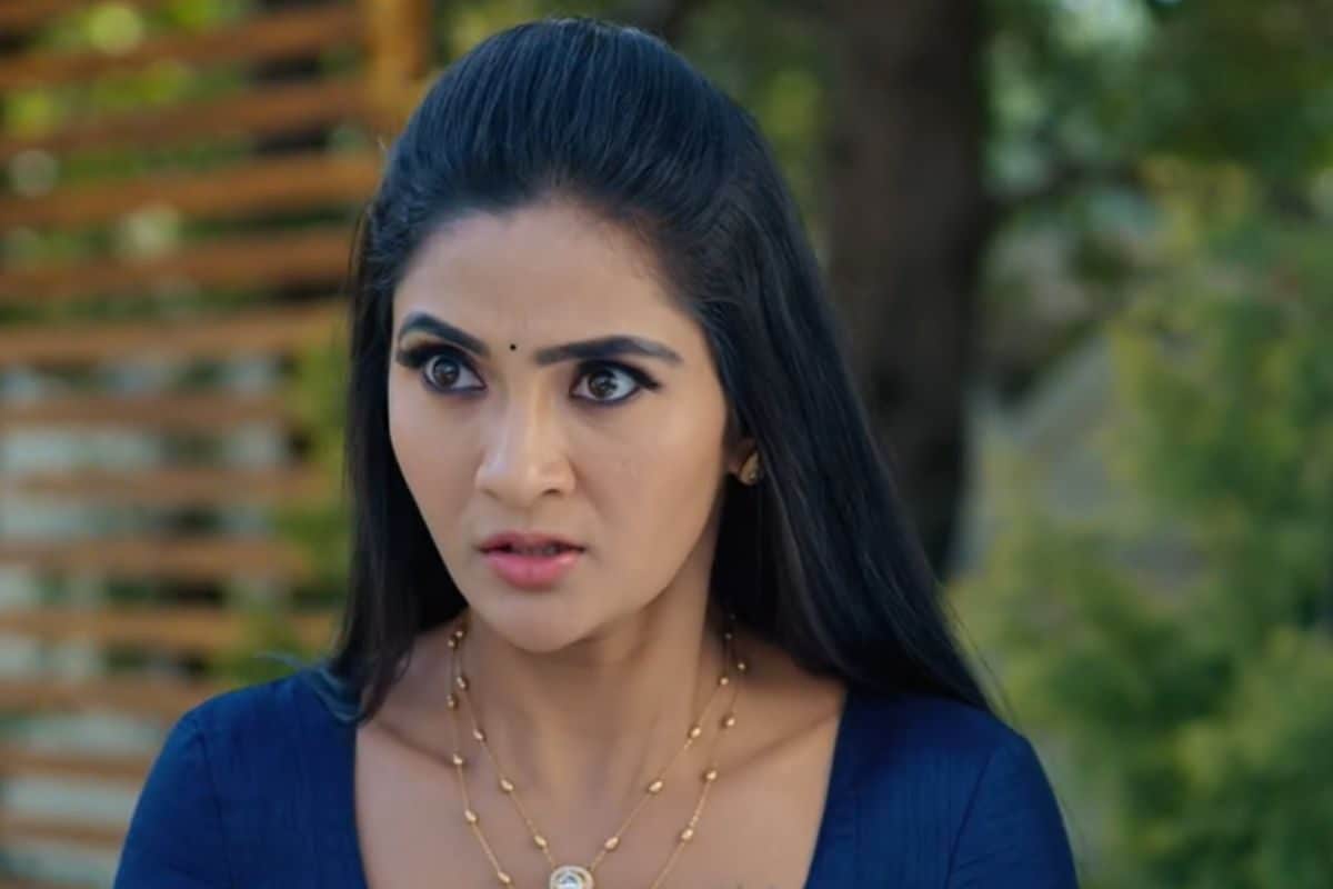 Karthika Deepam Serial: దీప, కార్తీక్ దెబ్బ... జ్యోత్స్న అయిపొయింది.. నీ బతుకు బస్టాండే ఇక