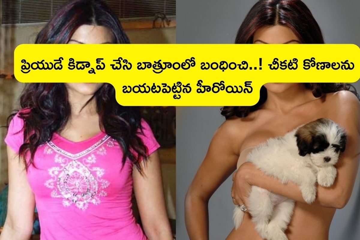 Actress: ప్రియుడే కిడ్నాప్ చేసి బాత్రూంలో బంధించి.. ఆపై! వామ్మో చెప్పరాని నరకం