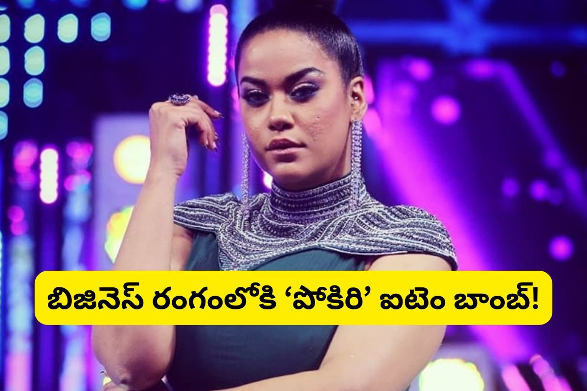 Mumaith Khan: బిజినెస్ రంగంలోకి ముమైత్ ఖాన్.. ఆ సంస్థకు మేనేజింగ్ డైరెక్టర్‌గా..!