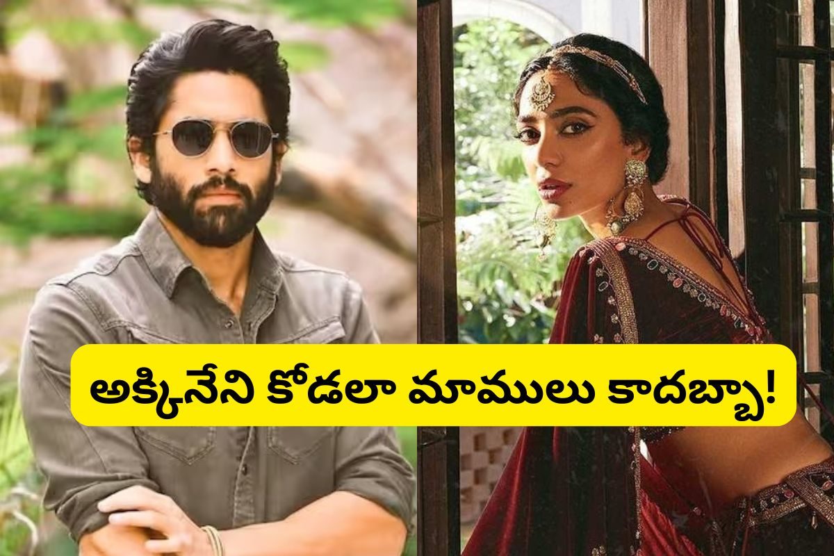 పెళ్లై 3 నెలలు కూడా కాలేదు.. అప్పుడే అలా కనిపించిన శోభిత.. అక్కినేని కోడలు మాములు గుడ్ న్య