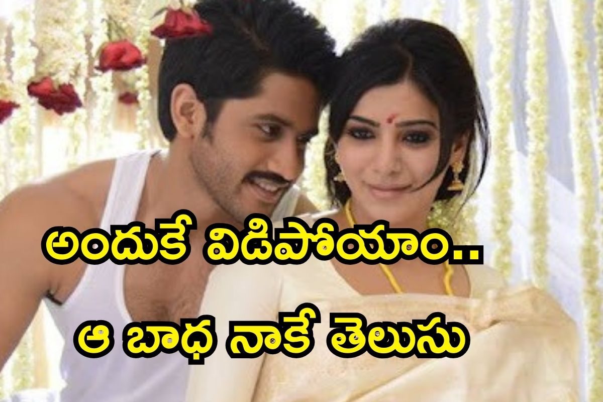 Naga Chaitanya: సమంతతో అందుకే విడిపోయా.. ఆ బాధేంటో నాకు తెలుసు? ఫైనల్‌గా కుండబద్దలు కొట్టి