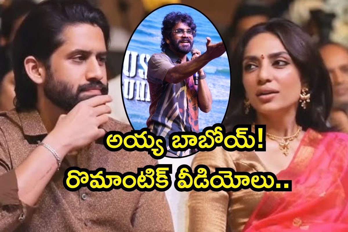 Nagarjuna: నా రొమాన్స్ చూస్తే తట్టుకోలేరంటున్న నాగార్జున.. అది కూడా కొడుకు, కోడలు ముందు..