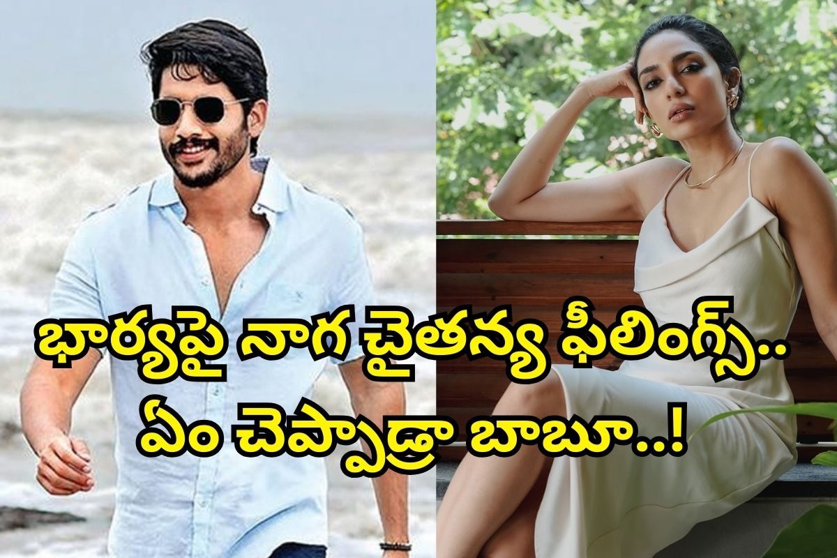 Naga Chaitanya: తండేల్ మూవీపై శోభిత దూళిపాళ్ల పోస్ట్.. నాగ చైతన్య రిప్లై చూశారా ఎలా ఉందో..