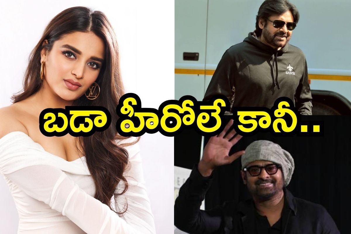 పవన్ కళ్యాణ్, ప్రభాస్‌లపై నిధి అగర్వాల్ కామెంట్స్ ఓపెన్.. స్టార్ హీరోల తీరు ఇదేనంటూ..!