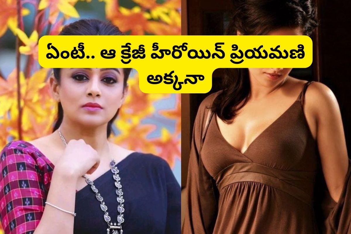 ప్రియమణి అక్క తెలుగులో తోపు హీరోయిన్ అని తెలుసా?.. బాలయ్యతో రూ.100 కోట్ల డిజాస్టర్ సినిమా