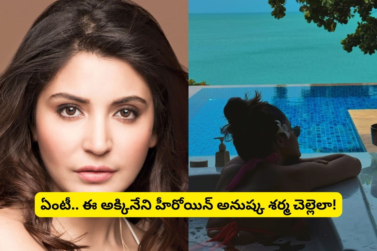 అనుష్క శర్మ చెల్లెలు తెలుగులో క్రేజీ హీరోయిన్ అని తెలుసా?.. అక్కినేని హీరోకు మరిచిపోలేని!