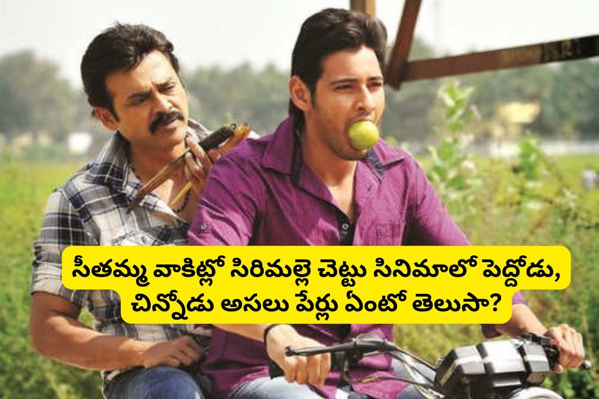 'సీతమ్మ వాకిట్లో సిరిమల్లె చెట్టు' సినిమాలో చిన్నోడు, పెద్దోడు అసలు పేర్లో ఏంటో తెలుసా?