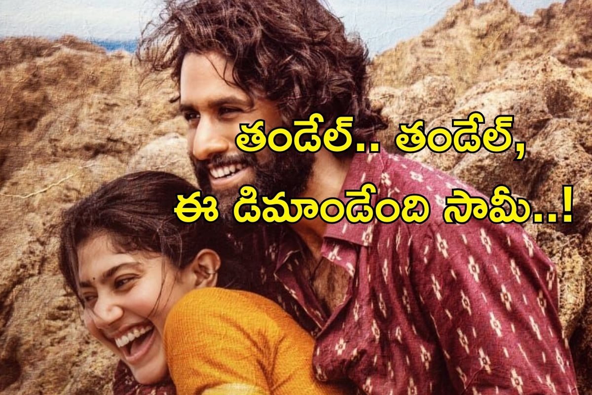 Thandel: నాగ చైతన్య తండేల్‌ సినిమాపై జనానికి ఎందుకంత ఆసక్తి? మూడు బలమైన కారణాలివే..