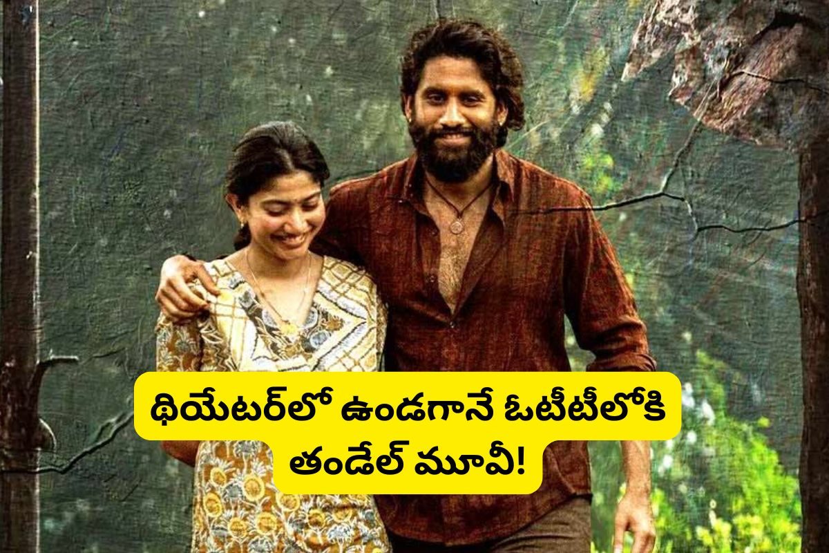 Thandel OTT: థియేటర్‌లో ఉండగానే ఓటీటీలోకి 'తండేల్'.. ఇదెక్కడి మాస్ ట్విస్ట్‌రా మామ!