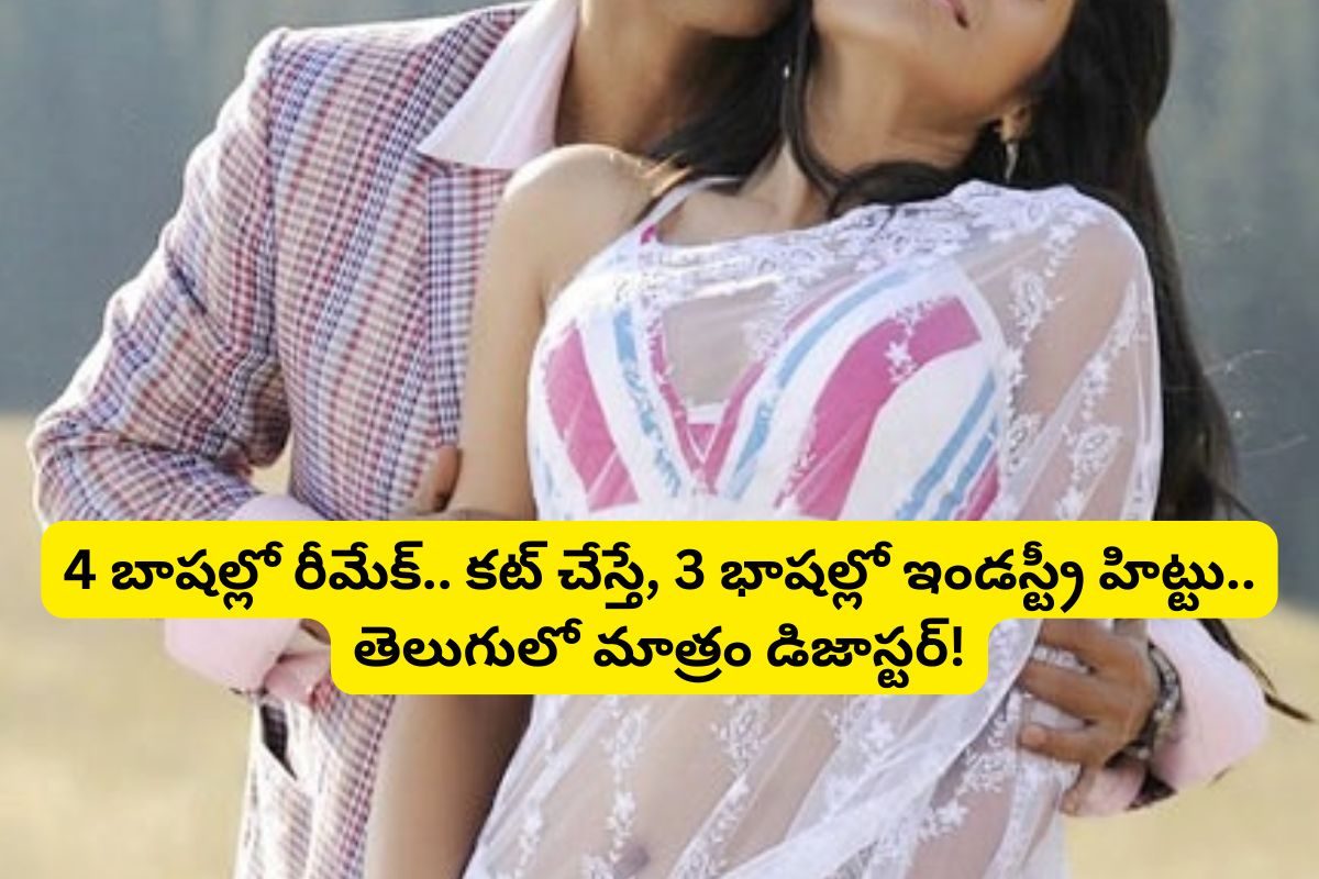 ఒకే సినిమా 4 భాషల్లో రీమేక్.. 3 భాషల్లో ఇండస్ట్రీ హిట్.. తెలుగులో మాత్రం డిజాస్టర్..!