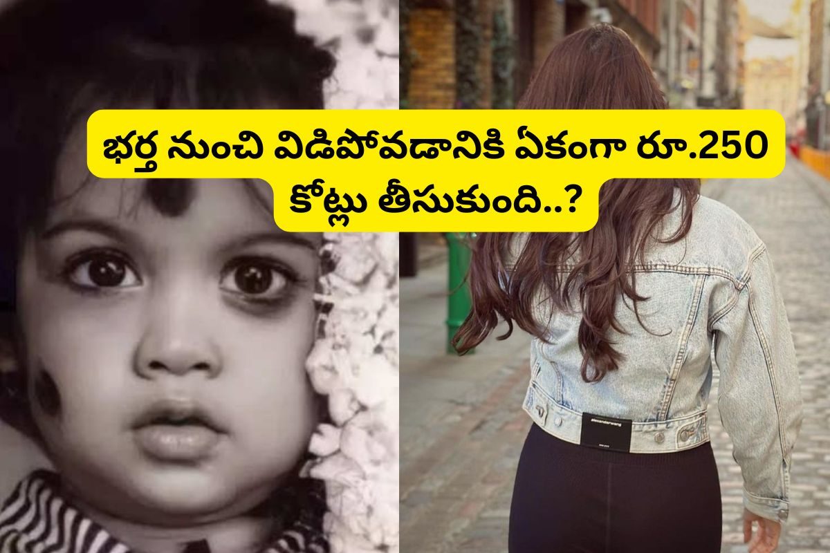 ఈ మల్లెపూల పాపను గుర్తుపట్టారా?.. తెలుగులో తోపు హీరోయిన్.. భర్త నుంచి భరణమే రూ.250 కోట్లు!