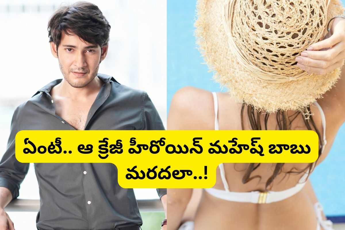 మహేష్ బాబు మరదలు తెలుగులో తోపు హీరోయిన్ అని తెలుసా?.. ప్రభాస్‌ బావతో బ్లాక్ బస్టర్ హిట్టు