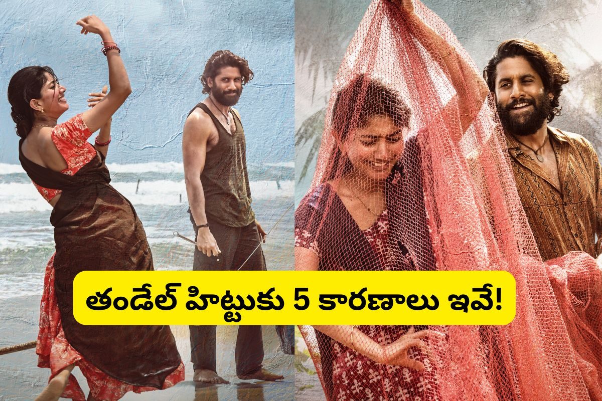 Thandel Movie: 'తండేల్' సినిమా బ్లాక్ బస్టర్ హిట్.. 5 ముఖ్య కారణాలు ఇవే!