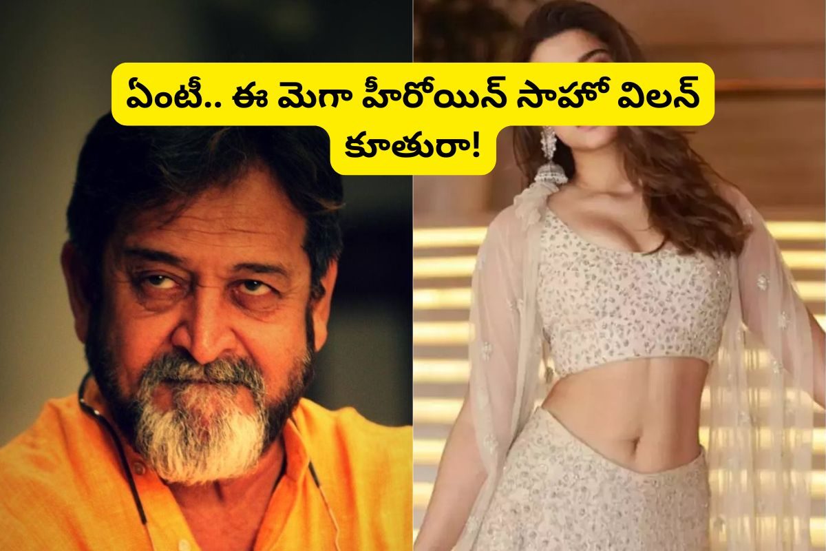 ఈ టాలీవుడ్ విలన్‌ గుర్తున్నాడా?.. ఈయన కూతురు తెలుగులో తోపు హీరోయిన్! మెగా హీరోతో డిజాస్టర్