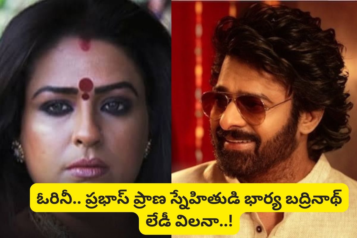 'బద్రినాథ్' సినిమాలో లేడి విలన్ గుర్తుందా?.. ఆమె భర్త తెలుగులో తోపు నటుడు..!