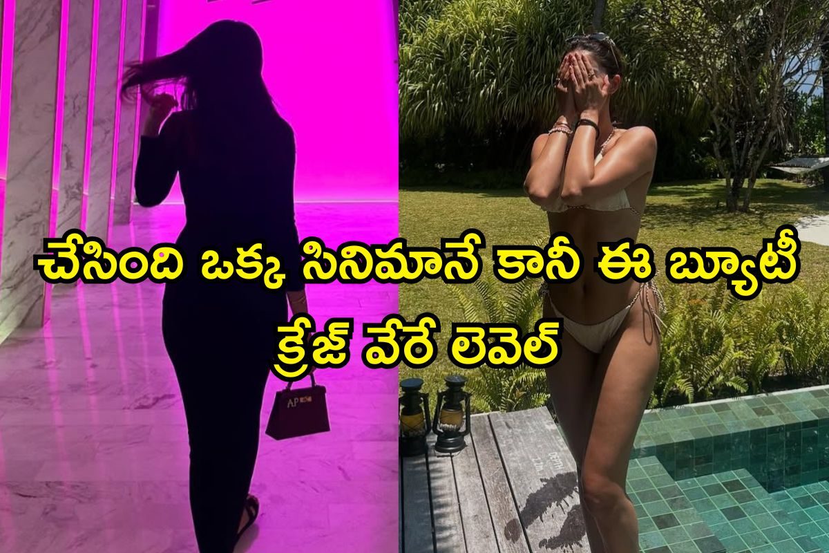 Actress: చేసింది ఒక్క సినిమానే కానీ, ఈ బ్యూటీ క్రేజ్ వేరే లెవెల్.. కట్ చేస్తే టాలీవుడ్‌‌లో