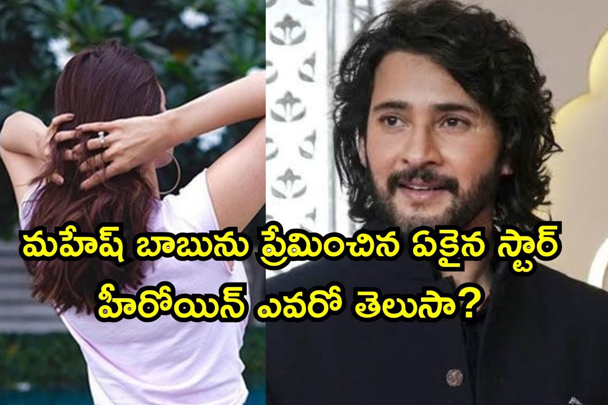 మహేష్ బాబును ప్రేమించిన ఏకైన తెలుగు స్టార్ హీరోయిన్ ఎవరో తెలుసా? నమ్రత మాత్రం కాదు..