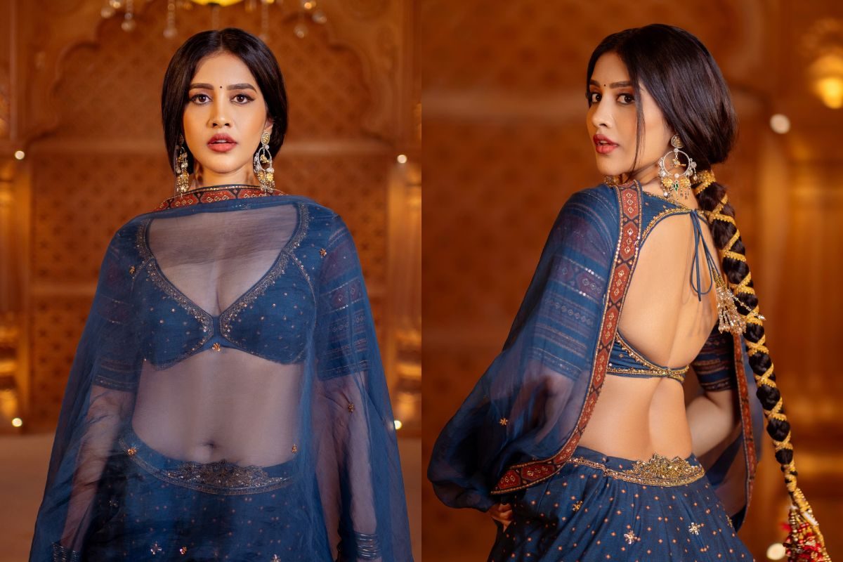 Nabha Natesh: పద్దతిగా పరువాలు ఒలకబోతుస్తున్న నభా నటేష్.. ఏం ఉంది మామ!