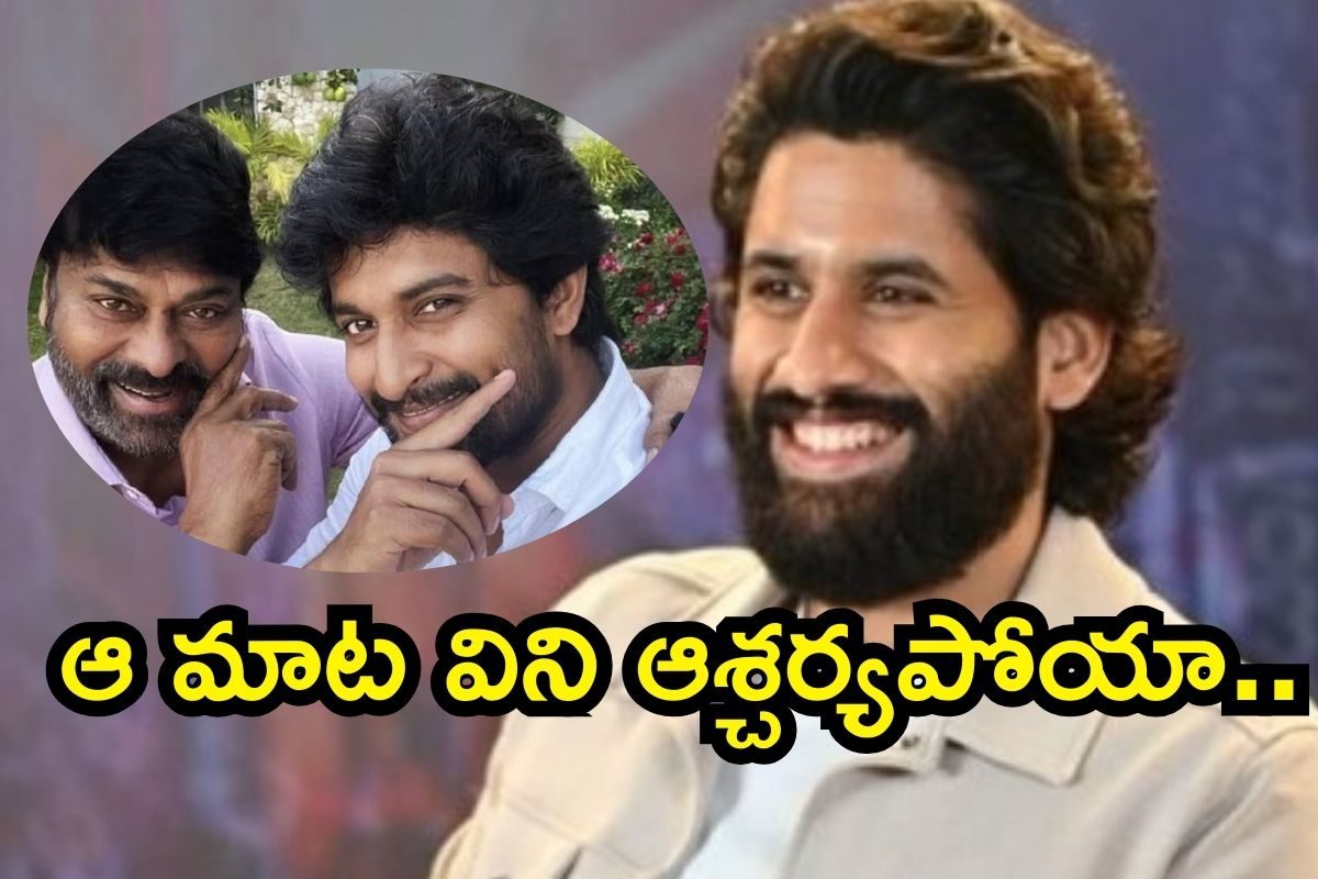 Chiranjeevi: నాగచైతన్య పెళ్లిలో చిరంజీవి హగ్.. ఒక్కసారిగా దిమ్మతిరిగింది!! నాని కామెంట్స్