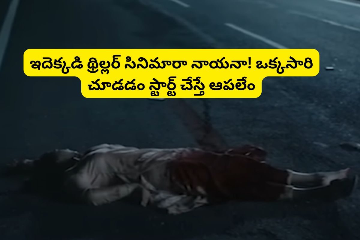 18 అవార్డులతో ఇండస్ట్రీ హిట్టు కొట్టిన థ్రిల్లర్ సినిమా.. యూట్యూబ్‌లో తెలుగులో ఉంది!