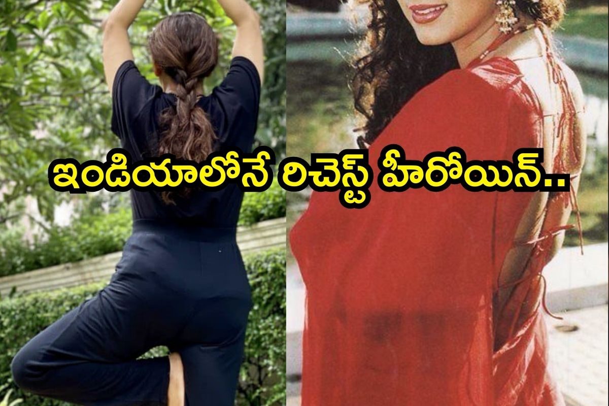 Heroine: చేసింది 2 సినిమాలే.. కట్ చేస్తే,వేల కోట్ల ఆస్తి.. ఈ నాగార్జున హీరోయిన్ ఎవరంటే..
