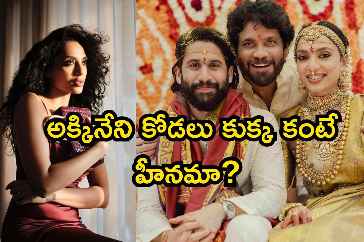 Sobhita Dhulipala: అక్కినేని కోడలు కుక్క కంటే హీనమా? ఘోర అవమానం.. దుమారం రేపిన శోభిత