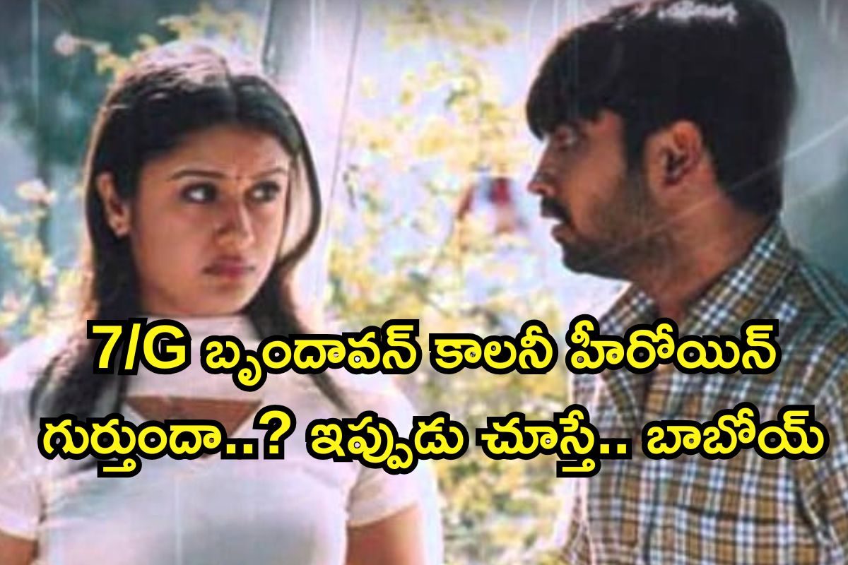 7/G బృందావన్ కాలనీ హీరోయిన్ గుర్తుందా.. ఇప్పుడు ఎలా ఉందో చూస్తే షాక్ అవుతారు..!