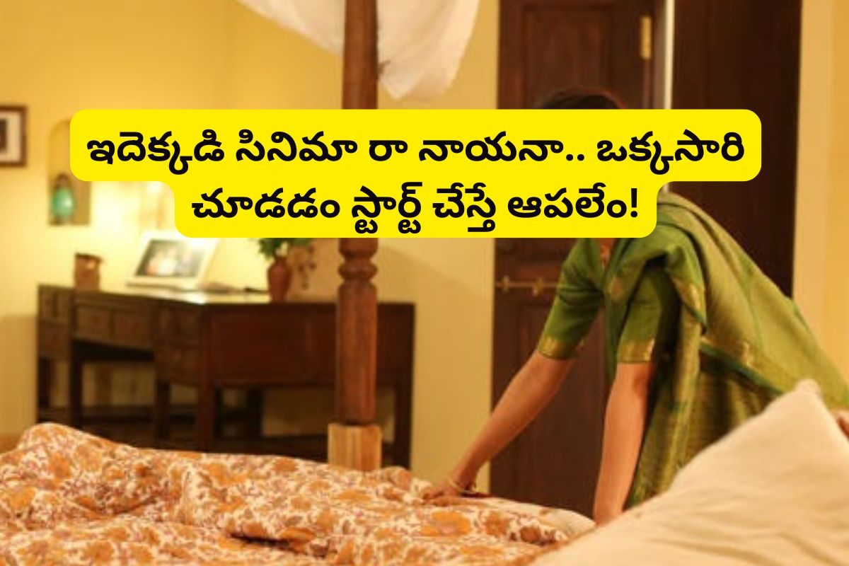 29 ఏళ్ల హీరోయిన్‌తో 65 ఏళ్ల సీనియర్ హీరో రొమాన్స్.. కట్ చేస్తే, ఇండస్ట్రీ హిట్టు కొట్టింది