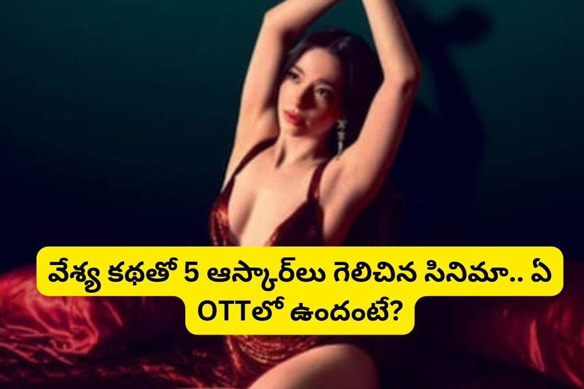 Anora Movie: వేశ్య కథతో 5 ఆస్కార్ అవార్డులు కొల్లగొట్టిన సినిమా.. ఏ OTTలో ఉందంటే?