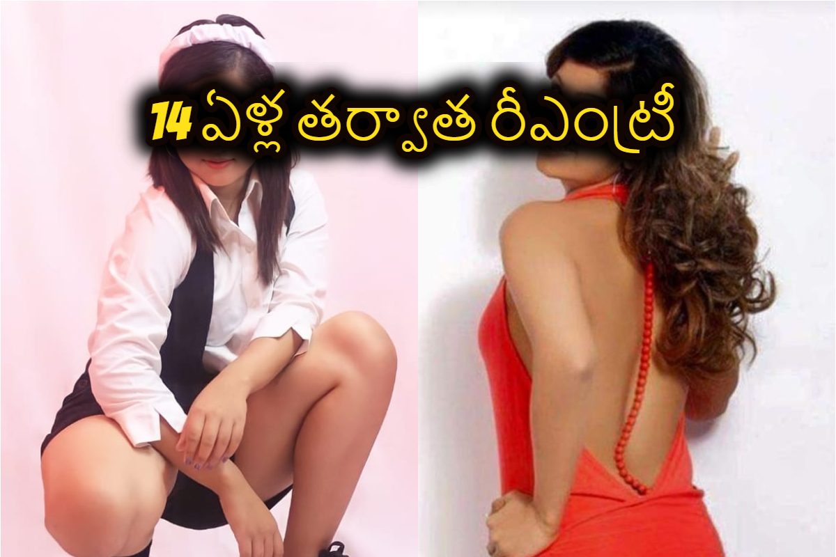 8 భాషల్లో 100పైగా సినిమాల్లో యాక్టింగ్.. 14ఏళ్లకు రీఎంట్రీ, 2వేల కోట్ల ఆస్తి ఉన్న ఆ నటి ?