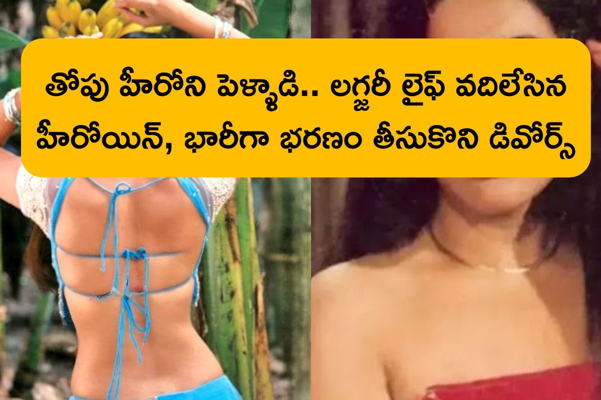 ఇండస్ట్రీలో టాప్ హీరోయిన్‌, తోపు హీరోతో పెళ్లి.. కట్ చేస్తే, పిల్లలు పుట్టాక డివోర్స్..