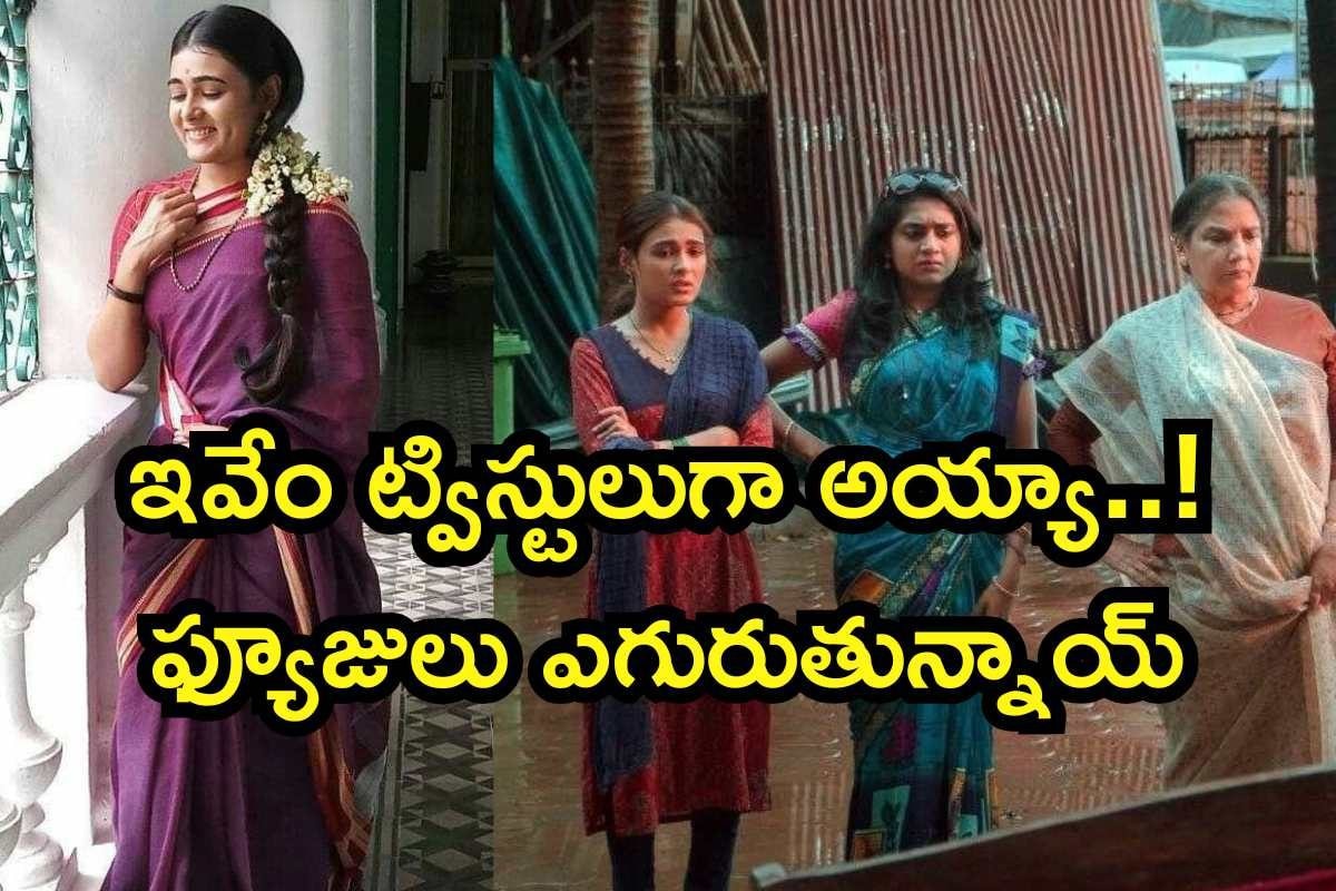 OTT: ఊహించని ట్విస్టులు, ఫ్యూజులు ఎగిరిపోయే సీన్లు.. ఓటీటీలో షాలిని పాండే మూవీ అరాచకం