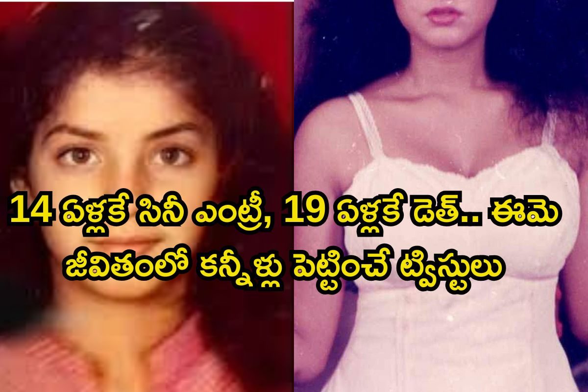 Heroine: ఒక్క ఏడాదే 12 సినిమాలు.. క్రేజ్‌లో తోపు, అనూహ్యంగా 19 ఏళ్లకే మిస్టరీ డెత్.. పాపం