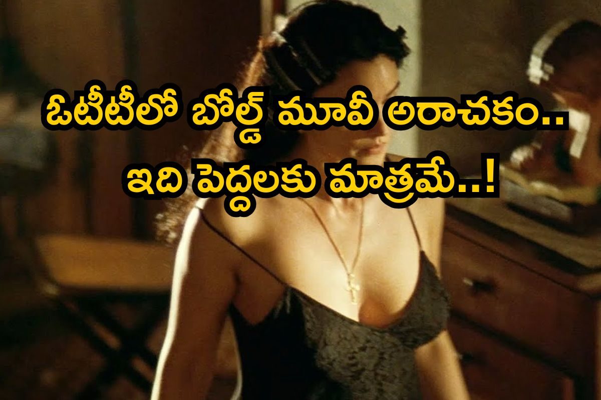 OTT: ఓటీటీలో అరాచకం బాబోయ్.. శృతిమించిన శృంగారం, ఇది పెద్దలకు మాత్రమే నాయనా..!